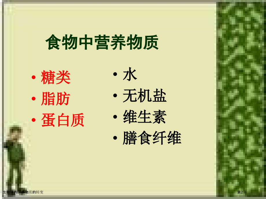 生物体内营养物质的转变.pptx_第2页