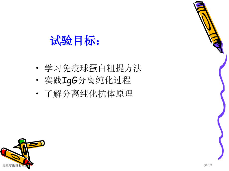 免疫球蛋白的粗提.pptx_第2页
