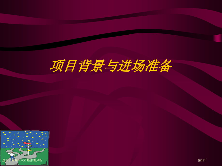 企业项目与组织诊断报告分析.pptx_第1页
