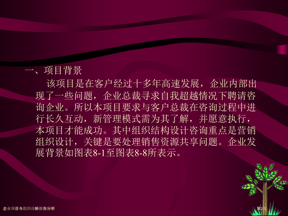 企业项目与组织诊断报告分析.pptx_第2页