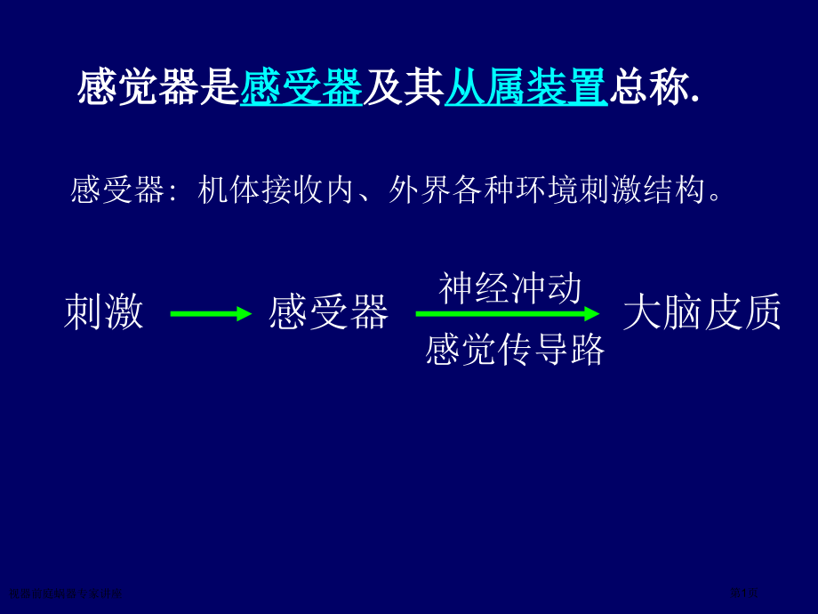 视器前庭蜗器专家讲座.pptx_第1页
