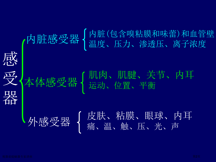 视器前庭蜗器专家讲座.pptx_第2页