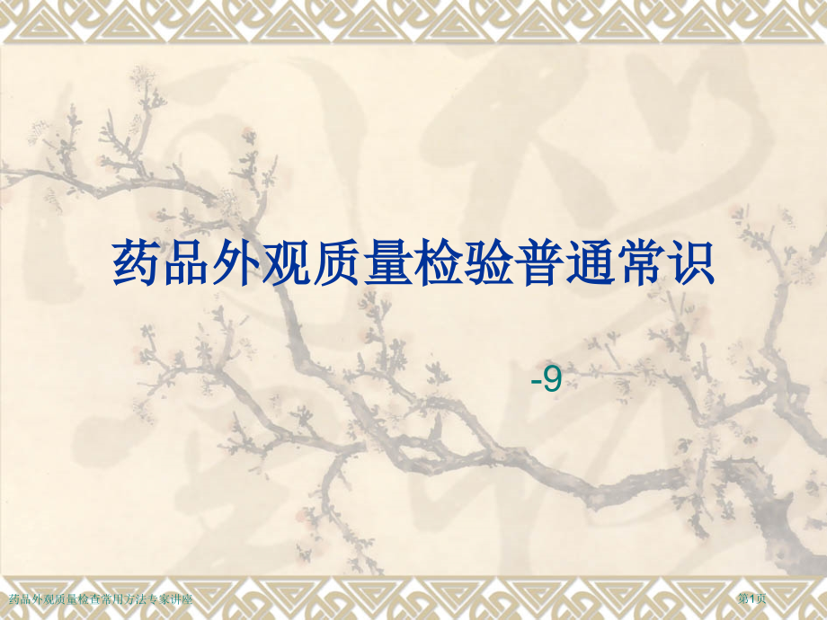 药品外观质量检查常用方法专家讲座.pptx_第1页