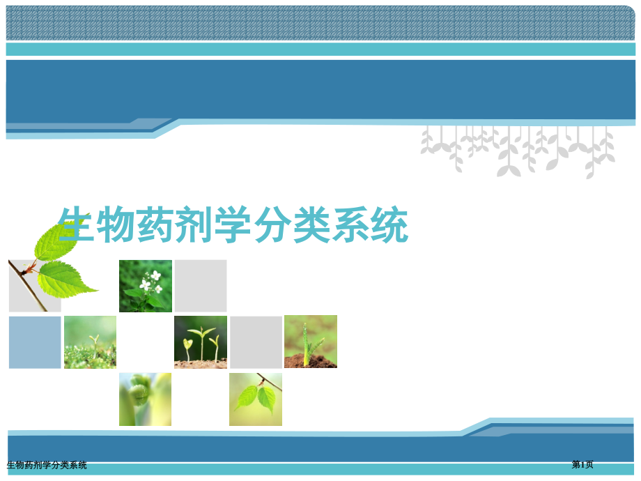生物药剂学分类系统.pptx_第1页