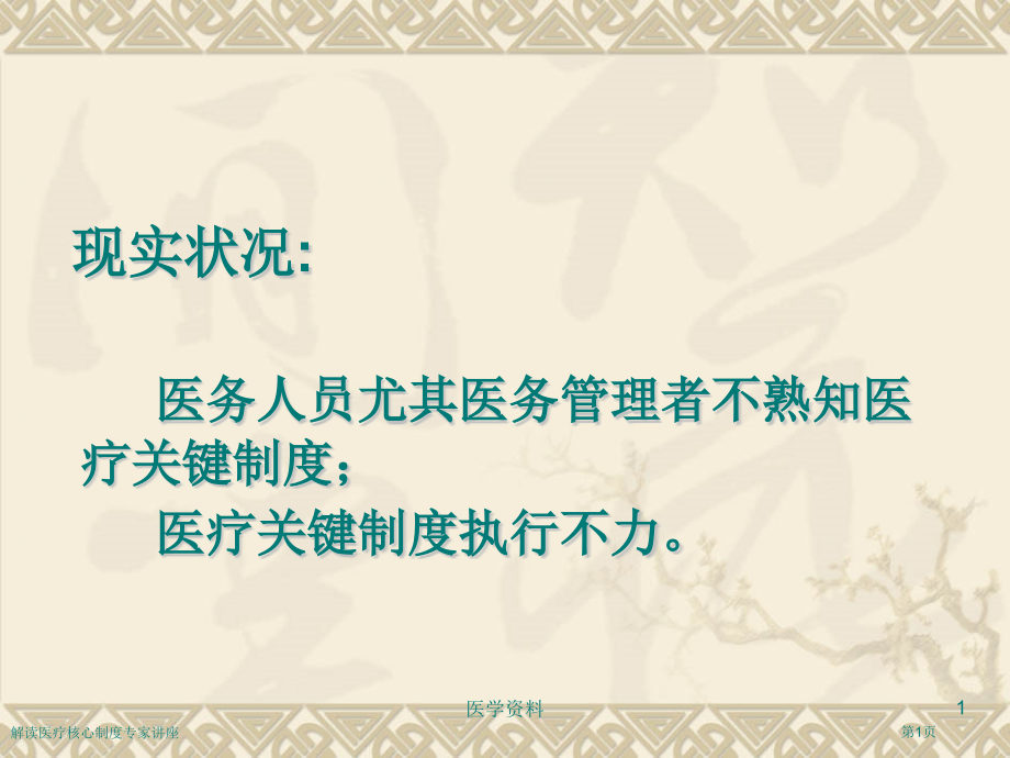 解读医疗核心制度专家讲座.pptx_第1页