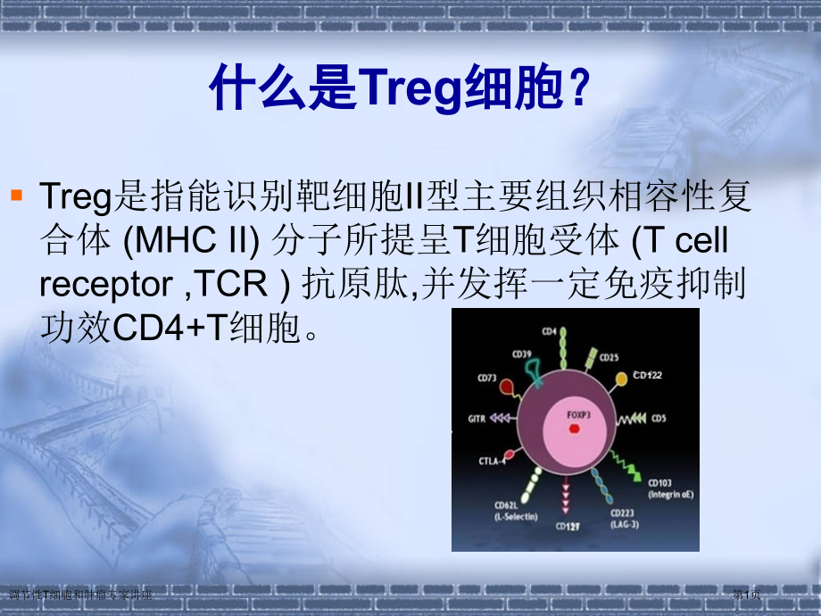 调节性T细胞和肿瘤专家讲座.pptx_第1页