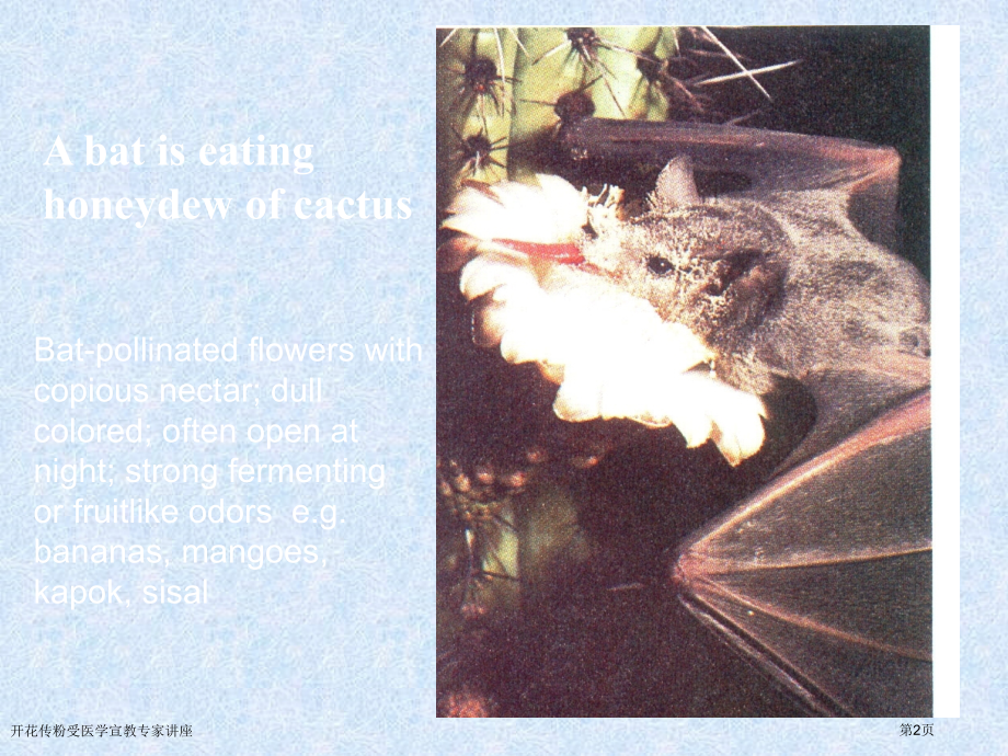 开花传粉.pptx_第2页