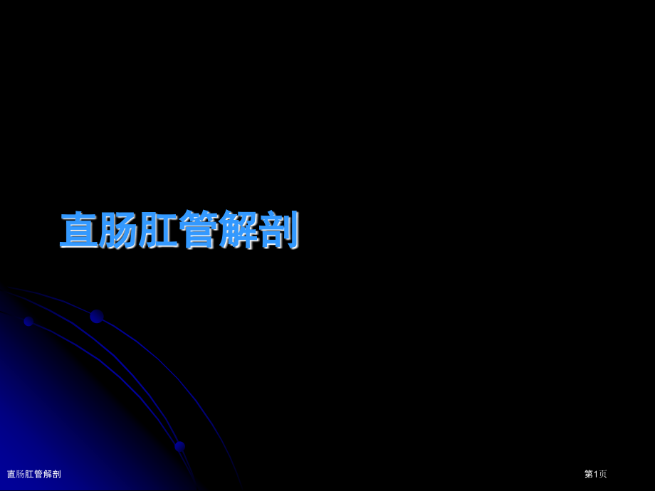 直肠肛管解剖.pptx_第1页