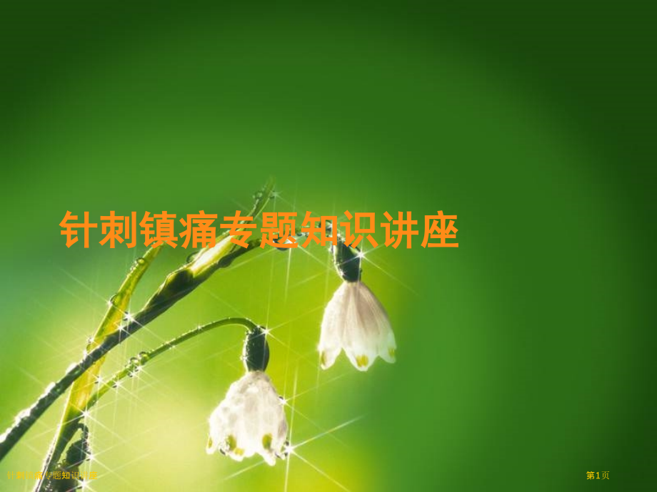 针刺镇痛专题知识讲座.pptx_第1页