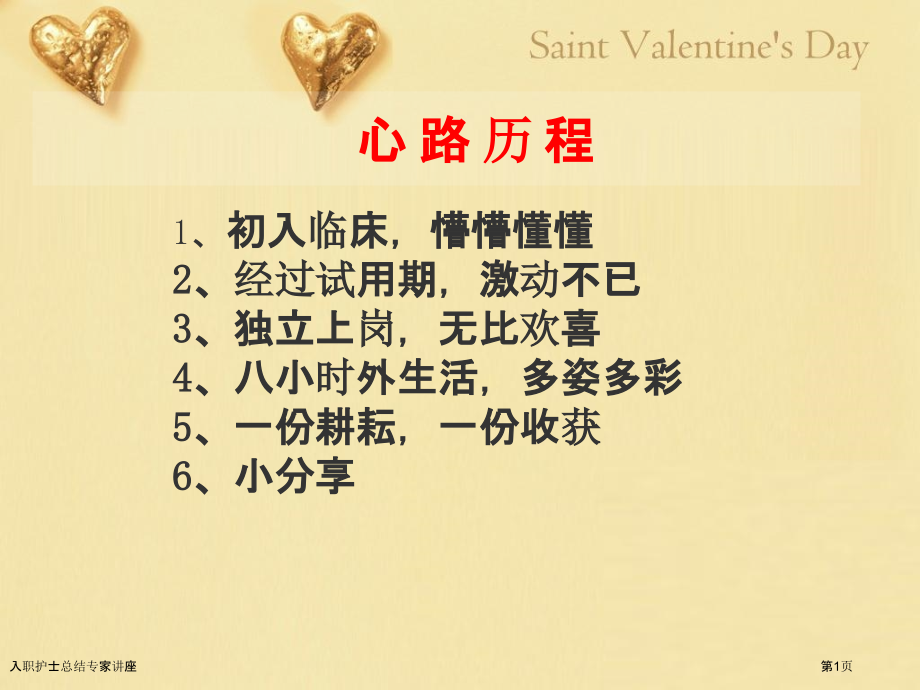 入职护士总结专家讲座.pptx_第1页