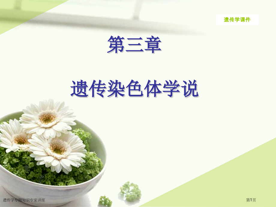 遗传学专题知识专家讲座.pptx_第1页
