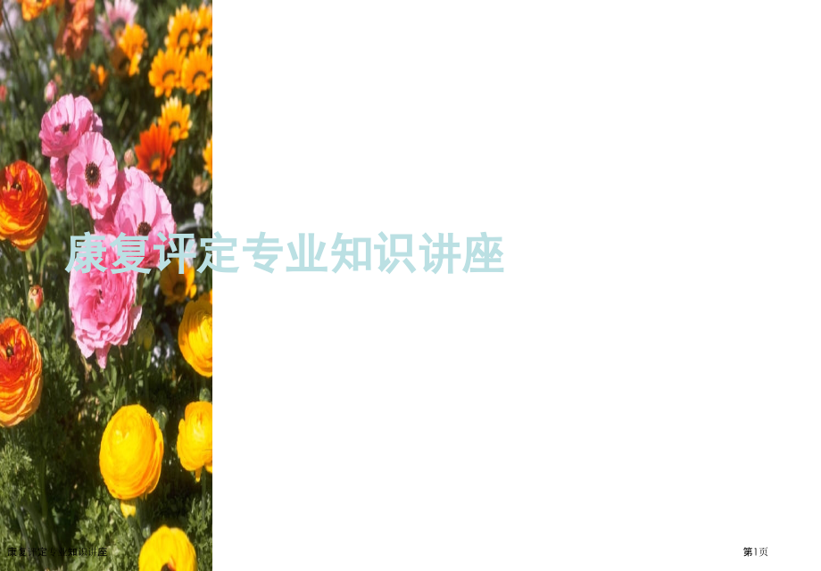 康复评定专业知识讲座.pptx_第1页