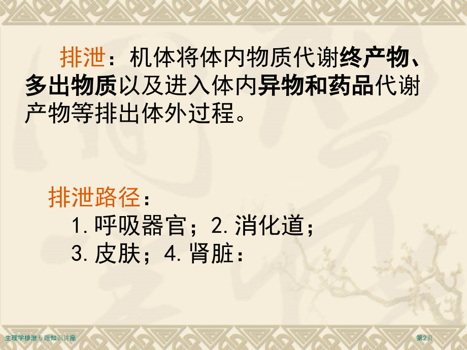 生理学排泄专题知识讲座.pptx_第2页