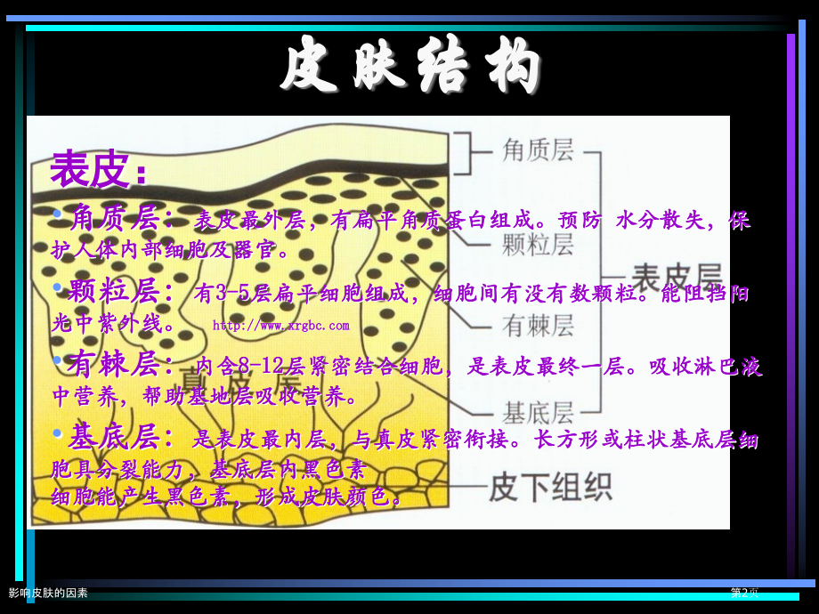 影响皮肤的因素.pptx_第2页