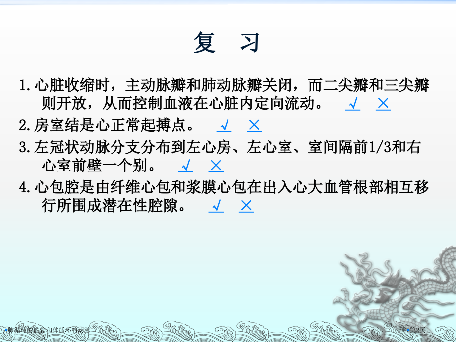 肺循环的血管和体循环的动脉.pptx_第2页