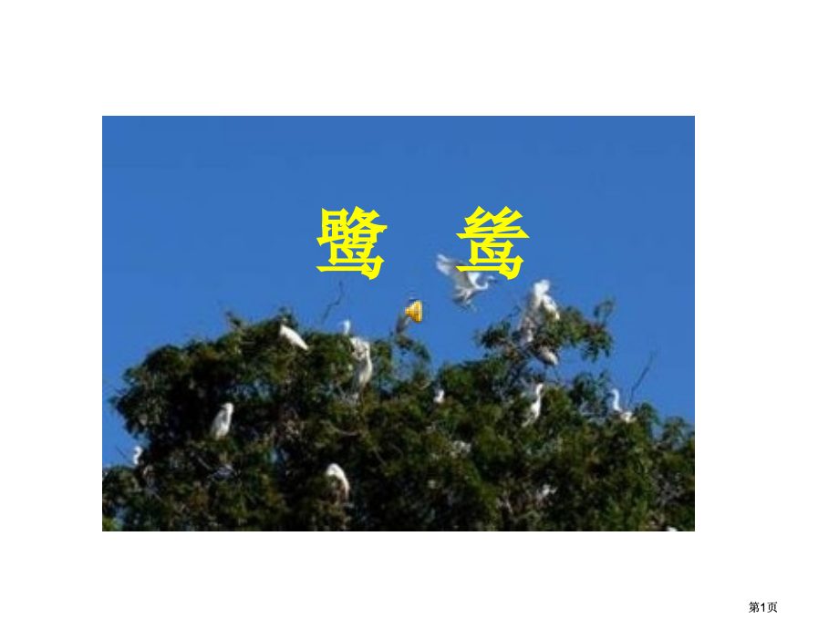 湘教版六年级下册鹭鸶课件2市公开课金奖市赛课一等奖课件.pptx_第1页