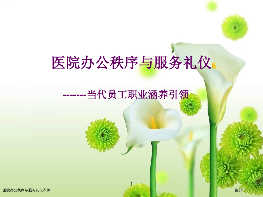 医院办公秩序与服务礼仪课件.pptx_第1页