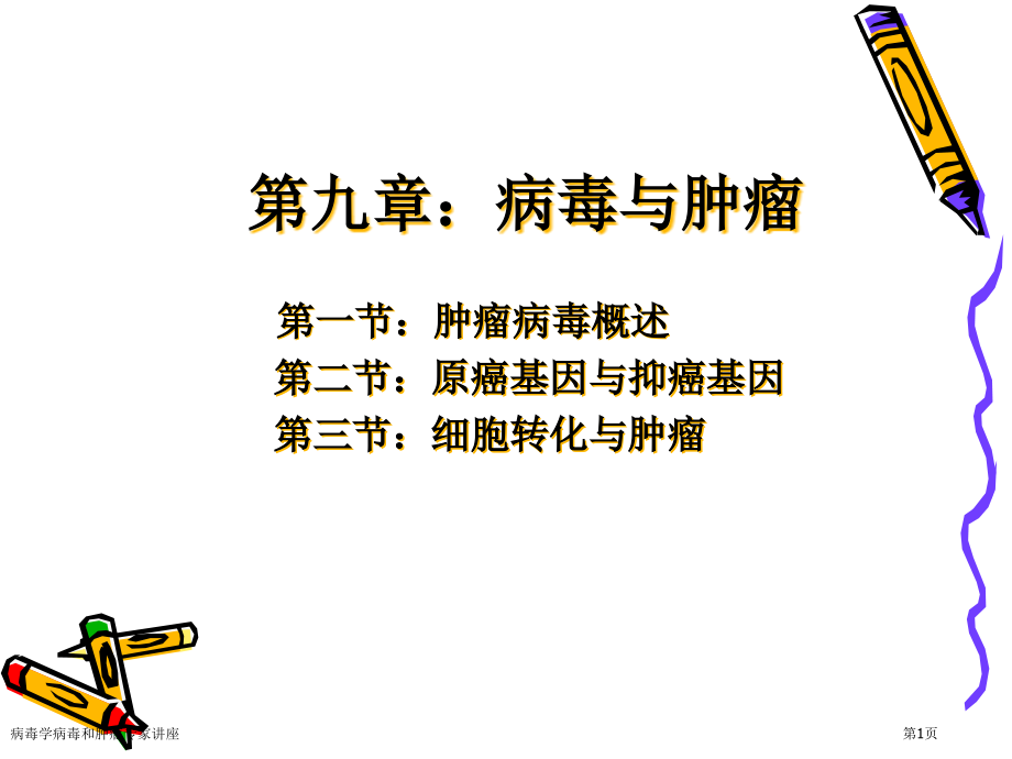 病毒学病毒和肿瘤专家讲座.pptx_第1页