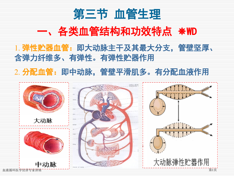 血液循环医学宣讲专家讲座.pptx_第1页