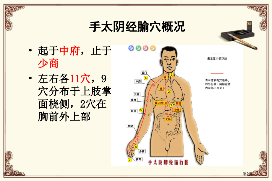 手太阴经腧穴.pptx_第2页