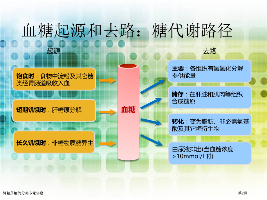 降糖药物的分类专家讲座.pptx_第2页
