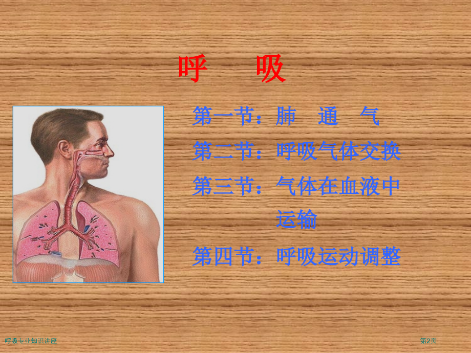呼吸专业知识讲座.pptx_第2页