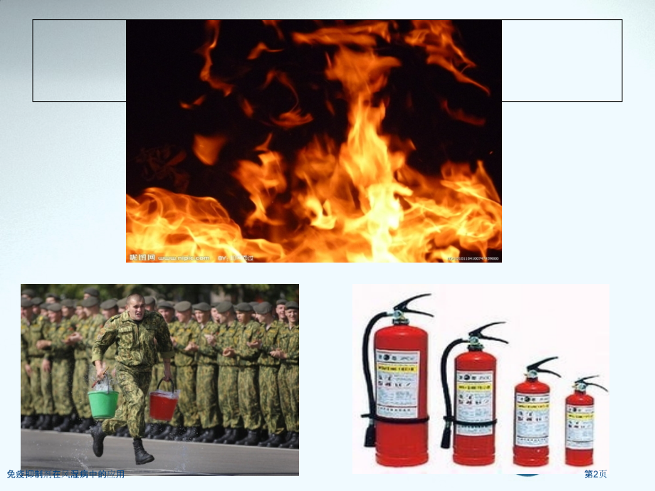 免疫抑制剂在风湿病中的应用.pptx_第2页