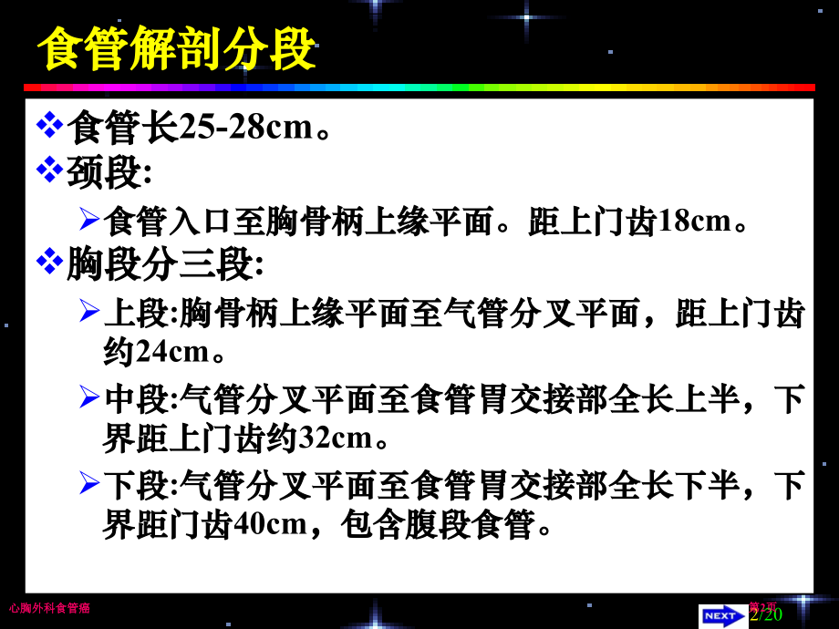 心胸外科食管癌.pptx_第2页