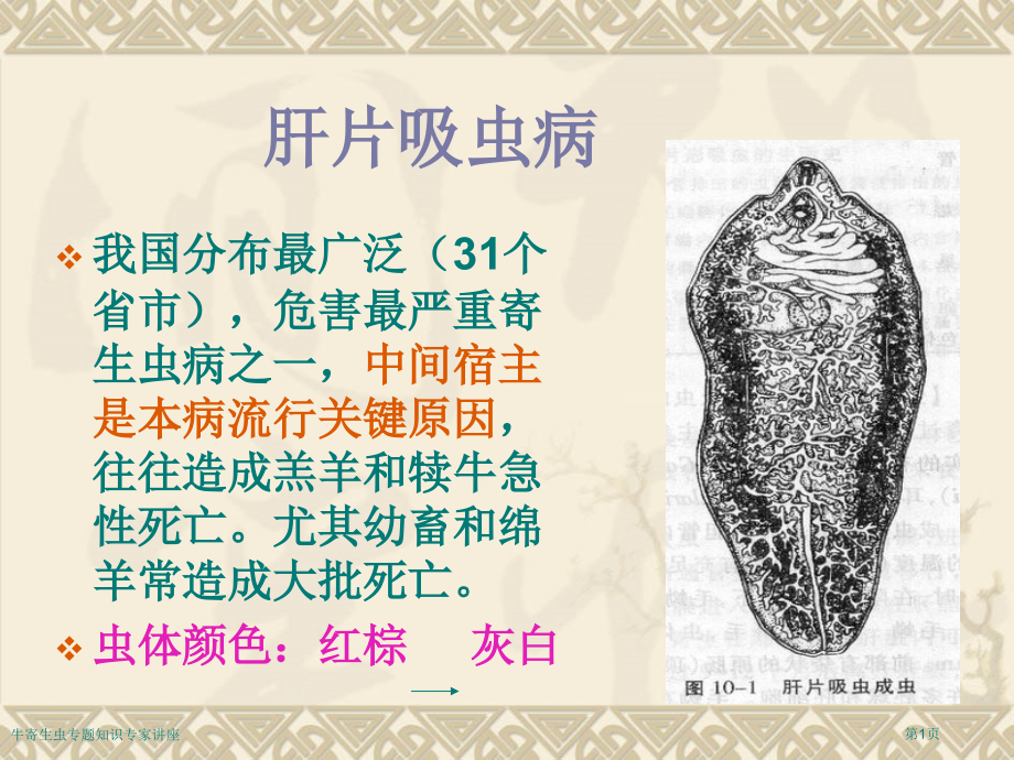 牛寄生虫专题知识专家讲座.pptx_第1页