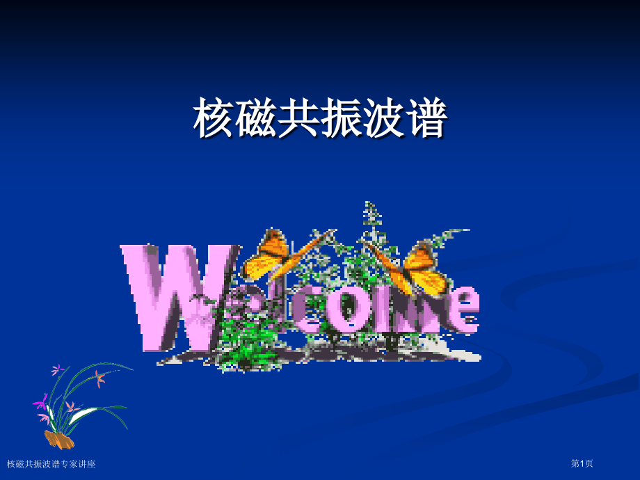 核磁共振波谱专家讲座.pptx_第1页