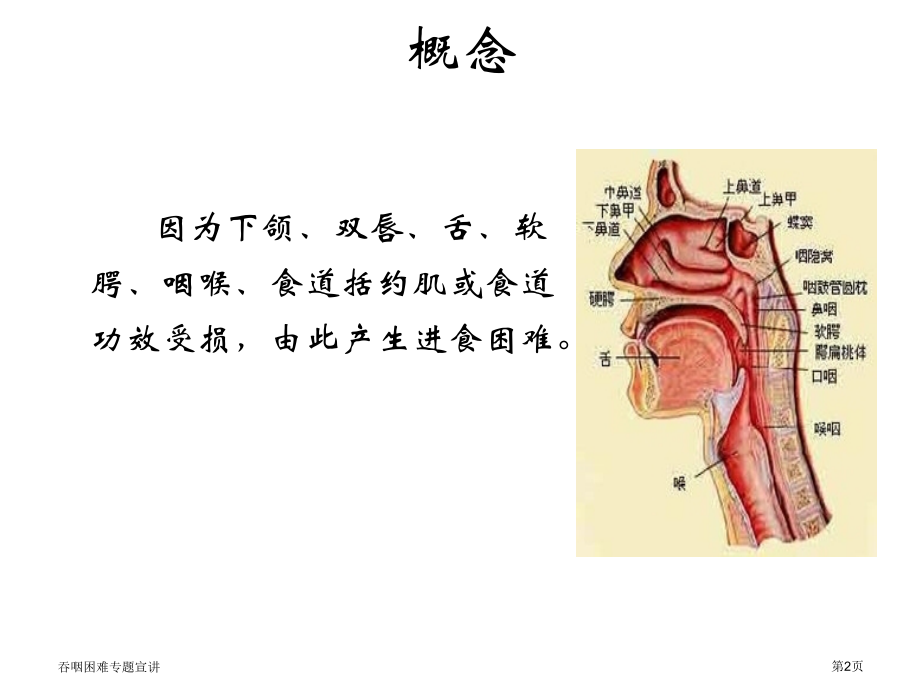 吞咽困难专题宣讲.pptx_第2页