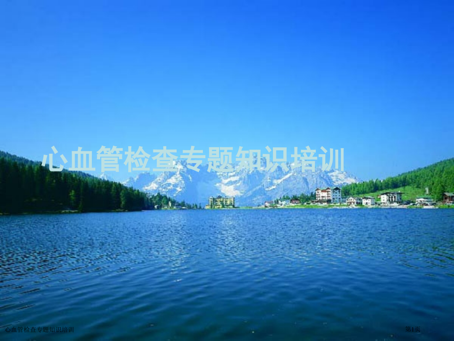 心血管检查专题知识培训.pptx_第1页