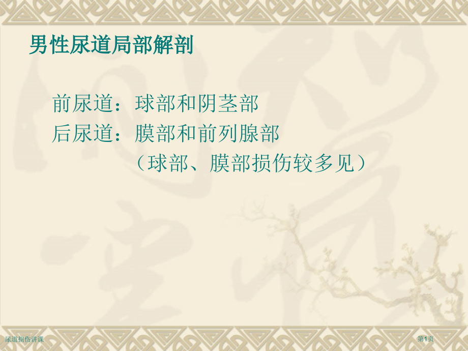 尿道损伤讲课.pptx_第1页