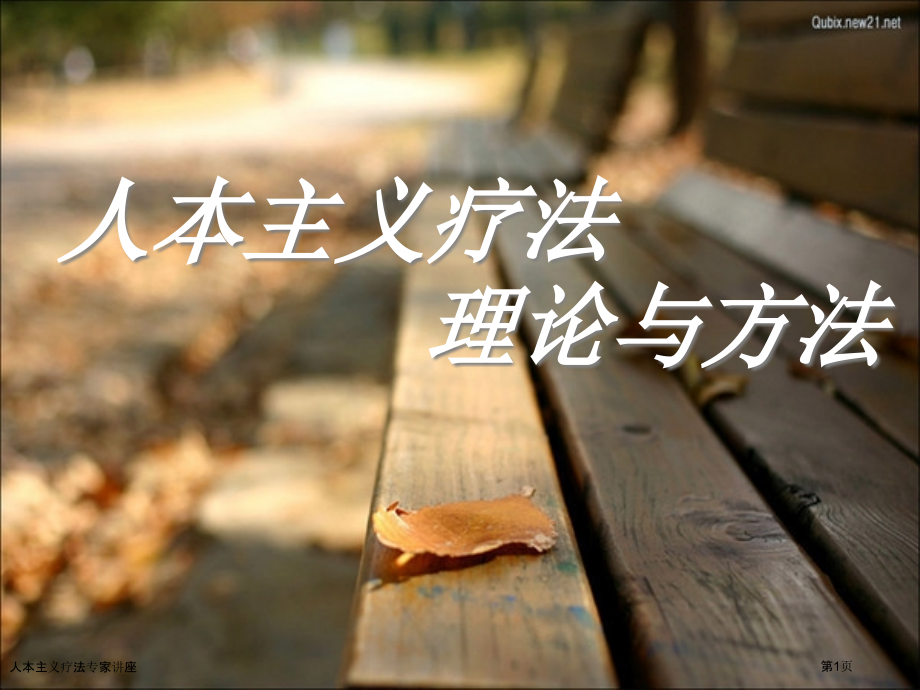 人本主义疗法专家讲座.pptx_第1页
