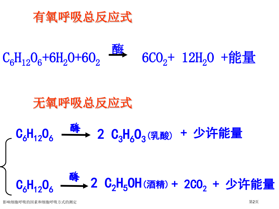 影响细胞呼吸的因素和细胞呼吸方式的测定.pptx_第2页
