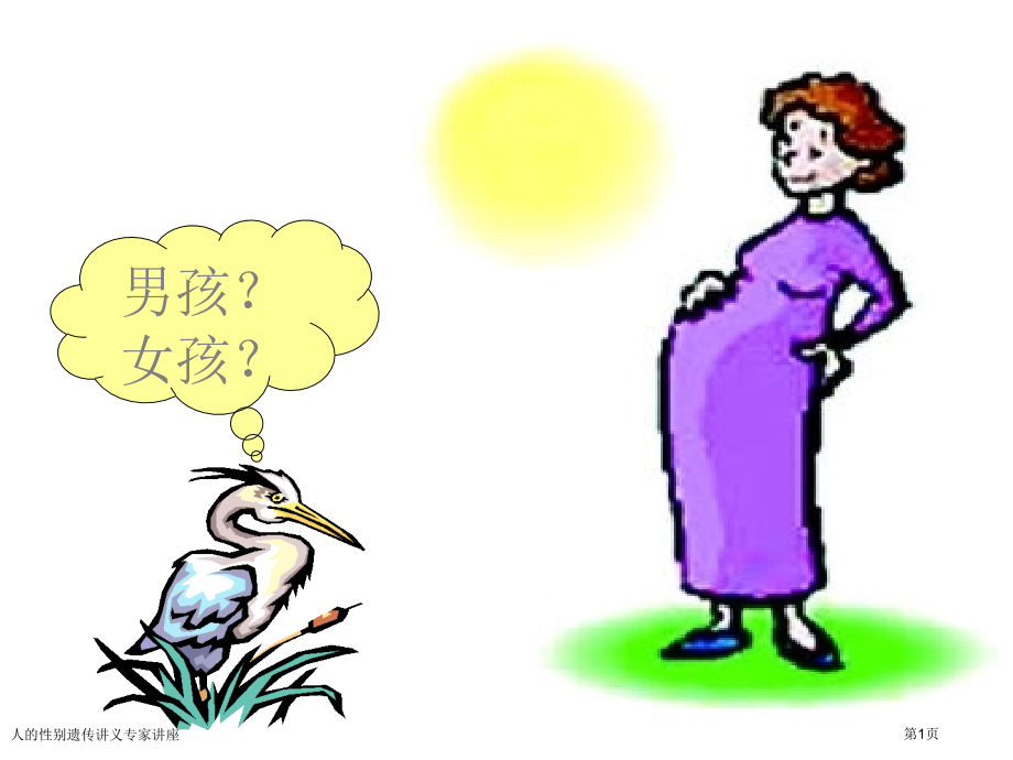 人的性别遗传讲义专家讲座.pptx_第1页