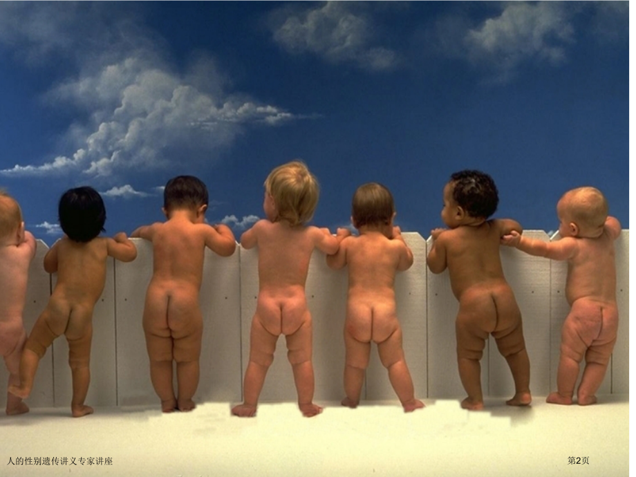人的性别遗传讲义专家讲座.pptx_第2页