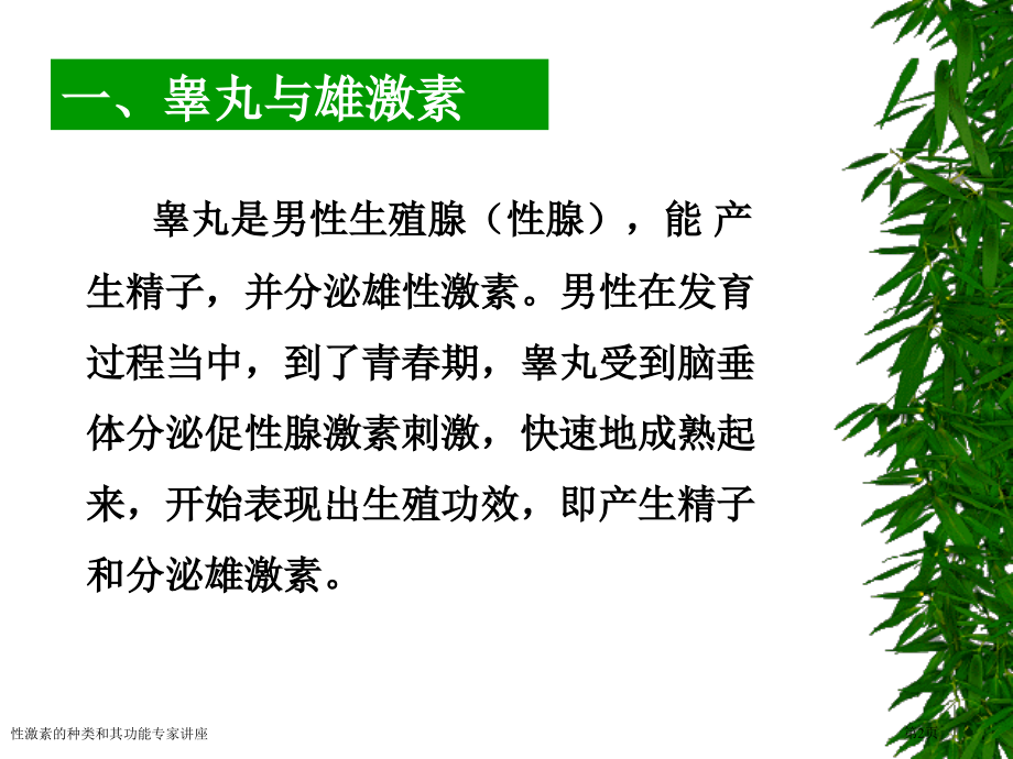 性激素的种类和其功能专家讲座.pptx_第2页