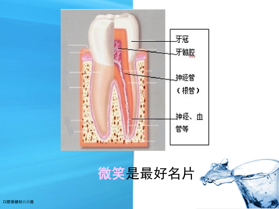 口腔保健知识讲座.pptx_第2页