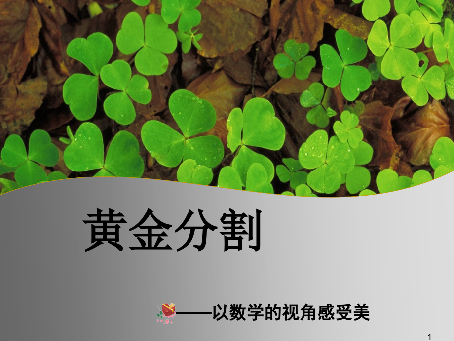 黄金分割市公开课.课件PPT.ppt_第1页