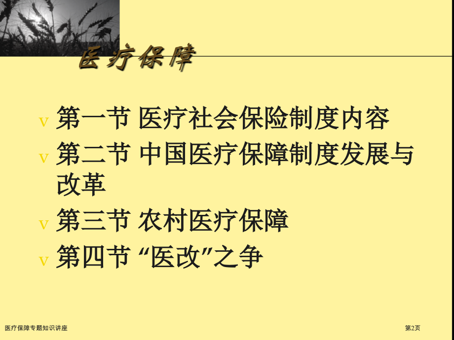 医疗保障专题知识讲座.pptx_第2页