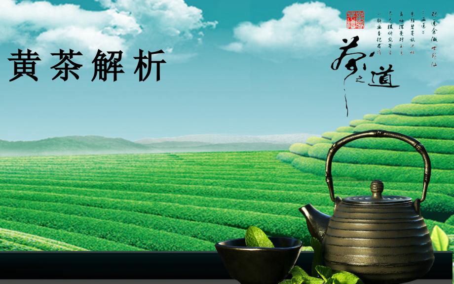 黄茶解析.ppt_第1页