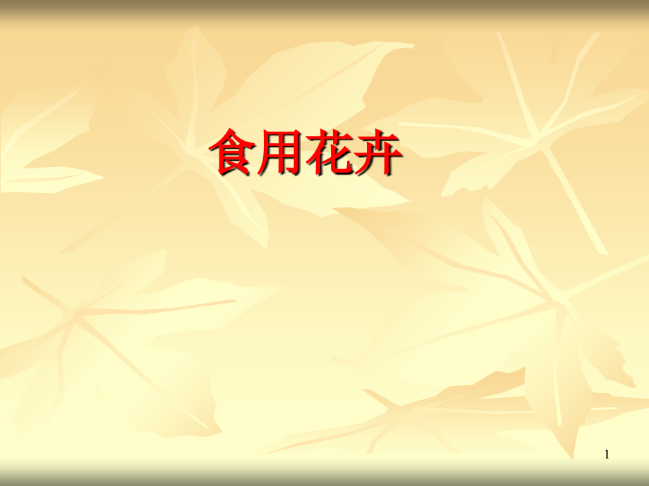食用花卉.ppt_第1页