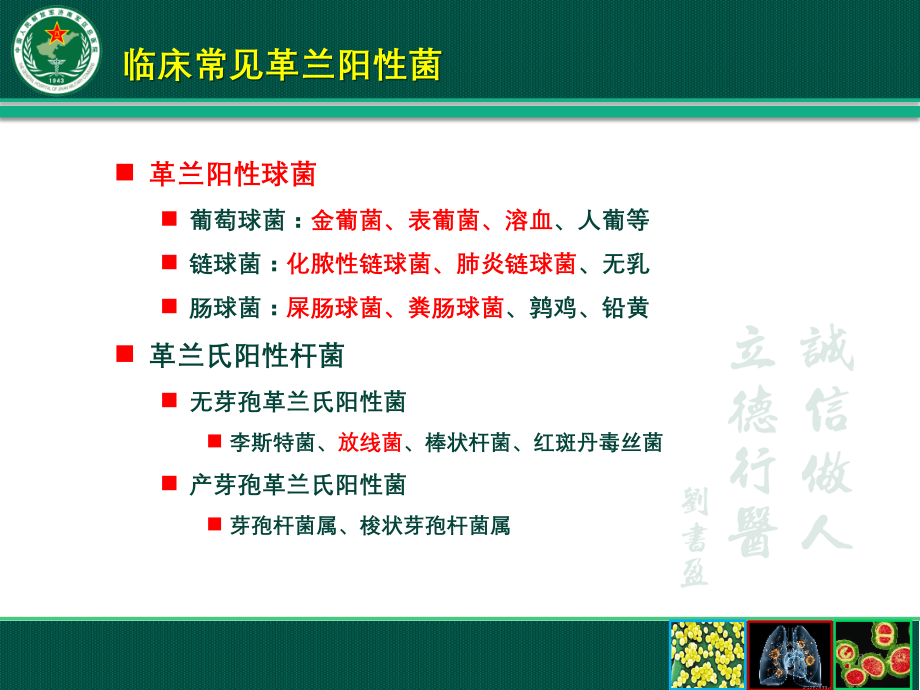 革兰氏阳性菌感染的经验性治疗PPT演示课件.pptx_第2页