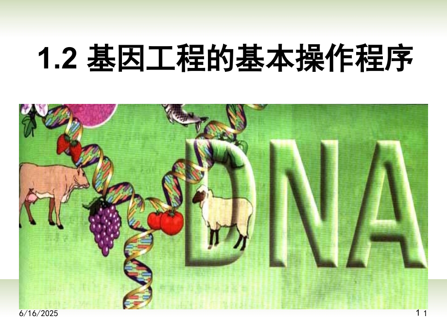 高中生物《12基因工程的基本操作程序》-新人教版选修3(课堂PPT).ppt_第1页