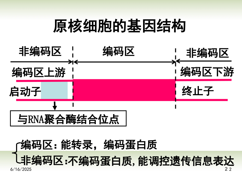 高中生物《12基因工程的基本操作程序》-新人教版选修3(课堂PPT).ppt_第2页