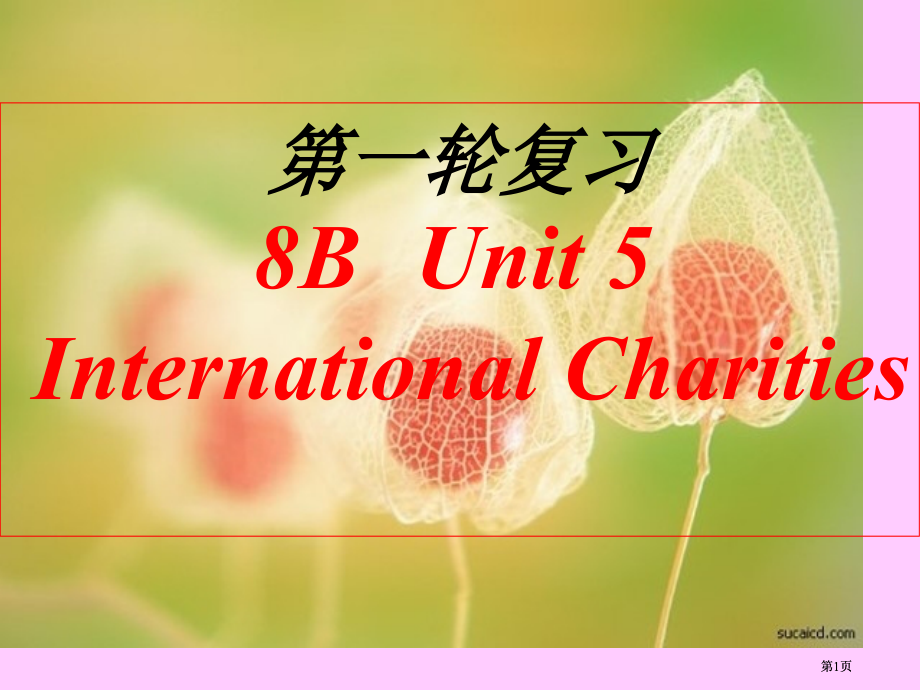 一轮复习8BUnit5InternationalCharities市公开课金奖市赛课一等奖课件.pptx_第1页
