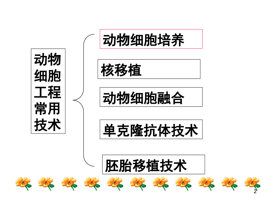 高中生物选修3(人教版)动物细胞工程(课堂PPT).ppt_第2页