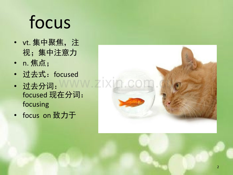 高考3500词第一讲(课堂PPT).ppt_第2页
