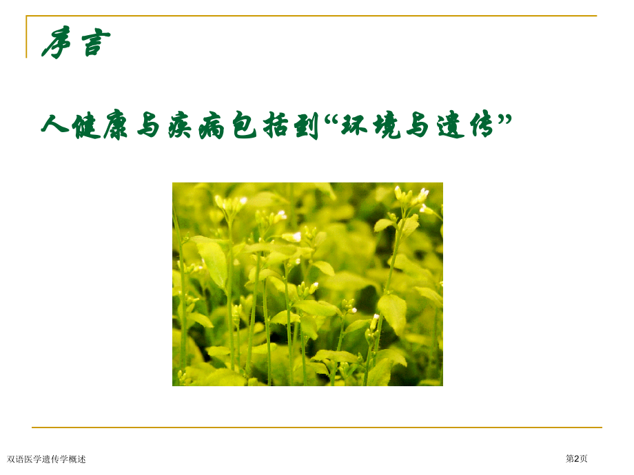 双语医学遗传学概述.pptx_第2页